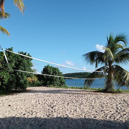 Studio 4 Casiguaya With Garden Access Vieques Kültér fotó